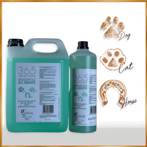 All breeds shampoo