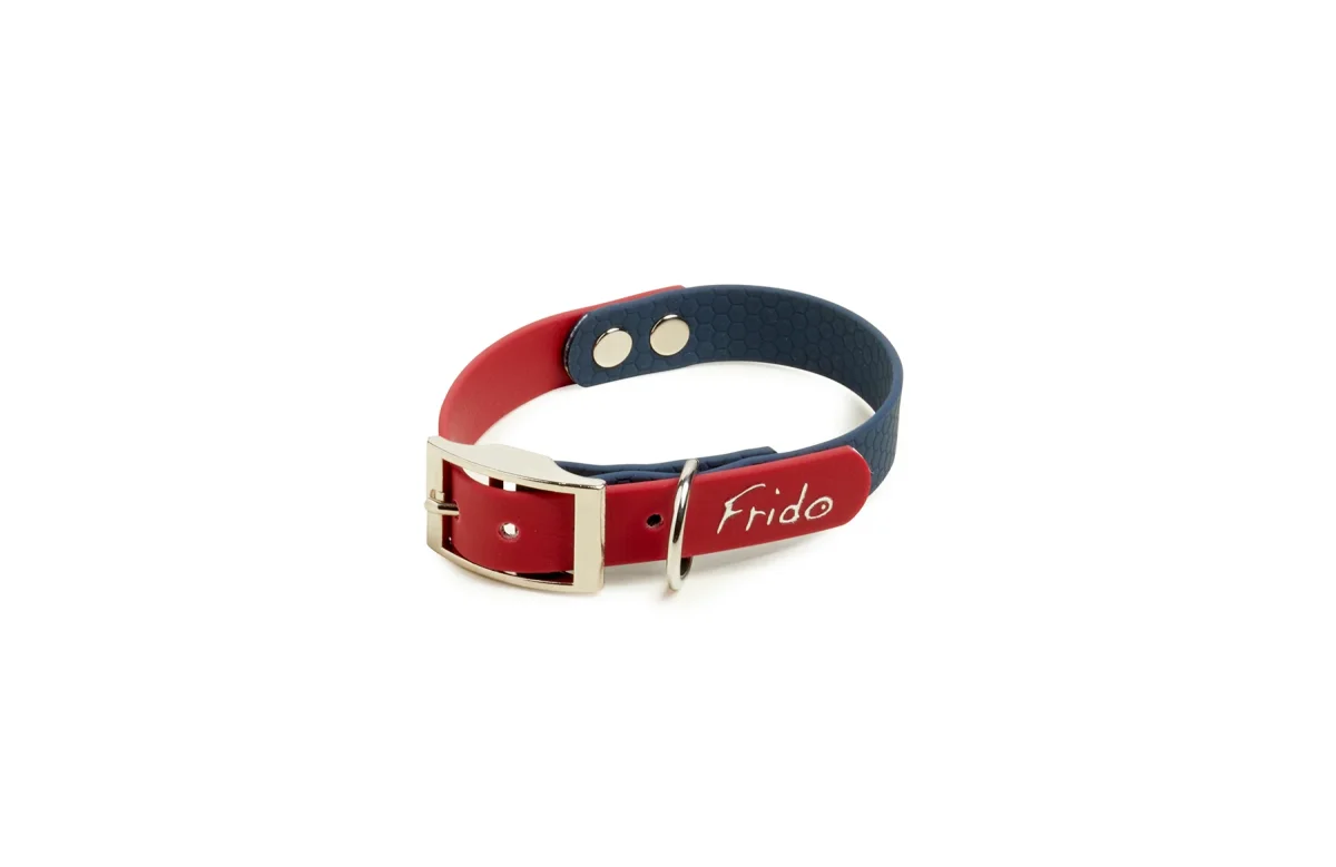 Collare per Cani con fibbia - Linea Pop