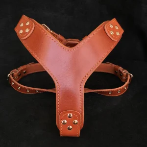 Pettorina BESTIA COLLARS STYLE - Marrone
